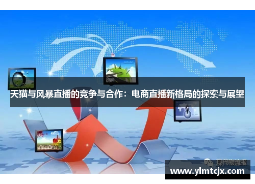 天猫与风暴直播的竞争与合作：电商直播新格局的探索与展望
